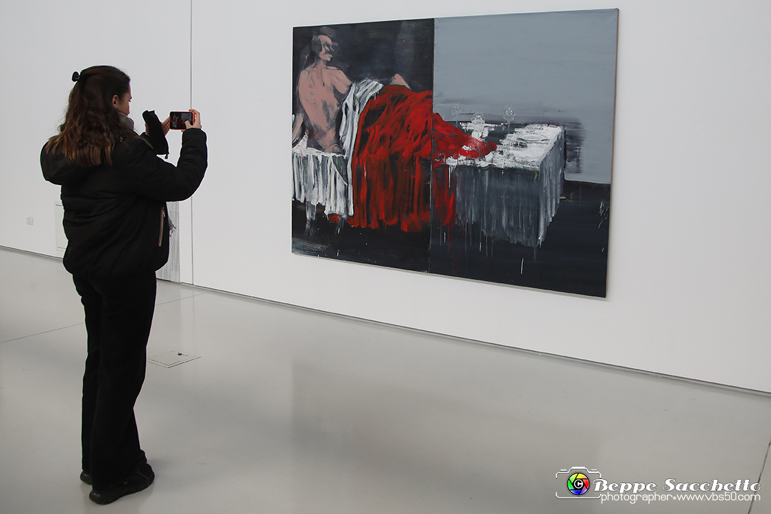 VBS_3285 - Mostra Personale Alessandro Scarabello.jpg